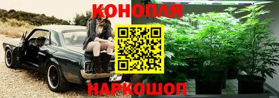 Альфа ПВП Будённовск